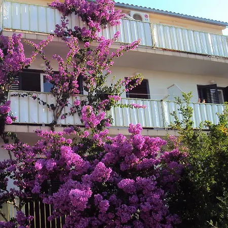 Apartment Marica